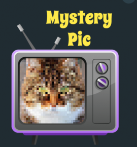 Mystery Pic